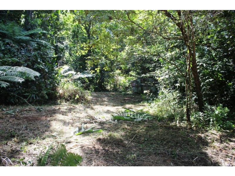 Lot 1 Cape Tribulation Road DIWAN, Daintree QLD 4873