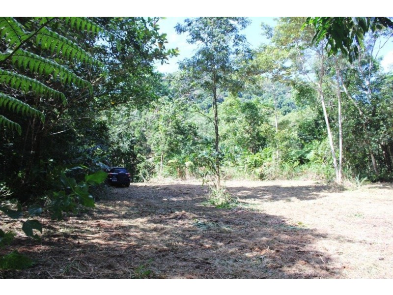 Lot 1 Cape Tribulation Road DIWAN, Daintree QLD 4873