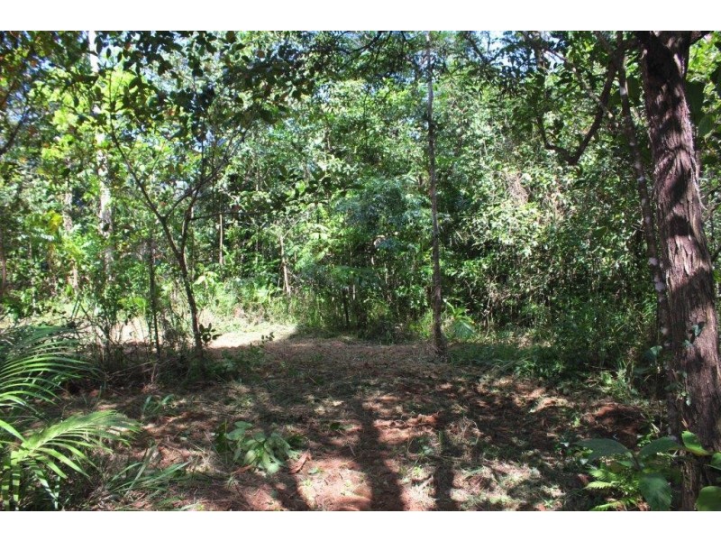 Lot 1 Cape Tribulation Road DIWAN, Daintree QLD 4873