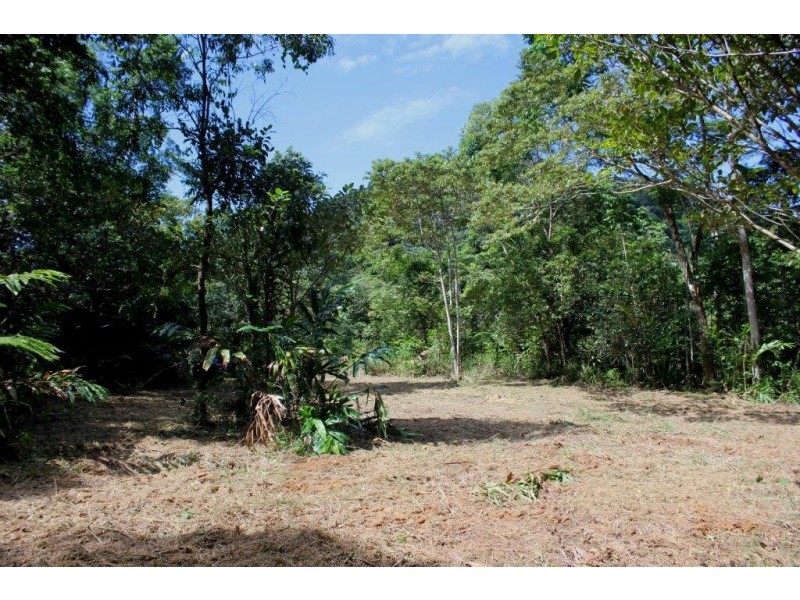 Lot 1 Cape Tribulation Road DIWAN, Daintree QLD 4873