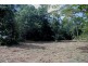 Lot 1 Cape Tribulation Road DIWAN, Daintree QLD 4873