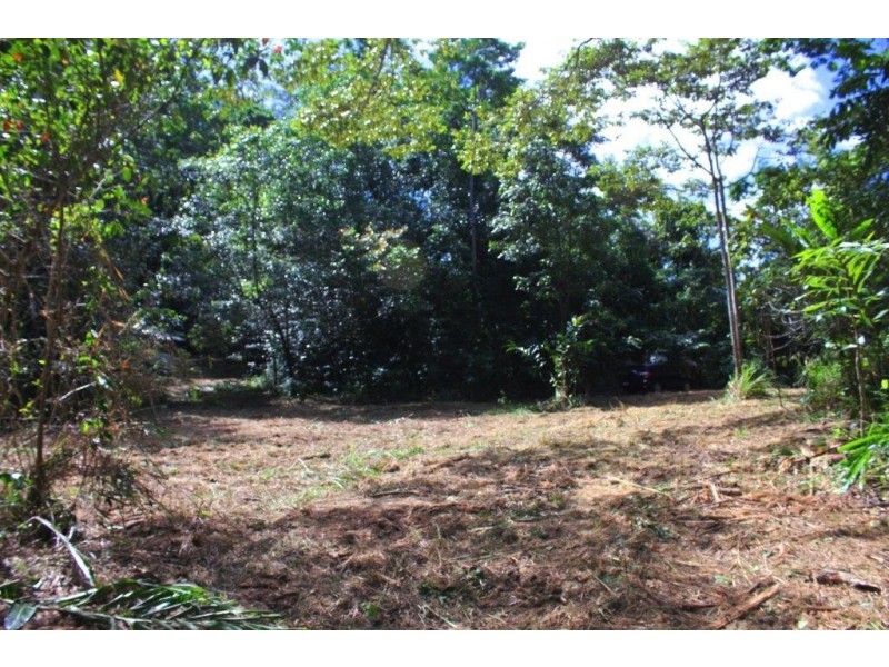 Lot 1 Cape Tribulation Road DIWAN, Daintree QLD 4873