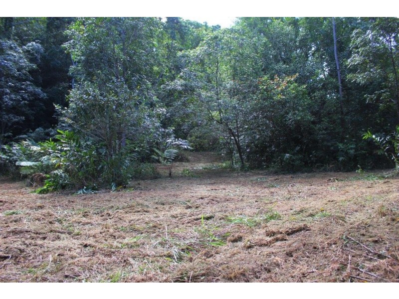 Lot 1 Cape Tribulation Road DIWAN, Daintree QLD 4873