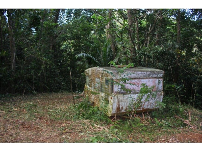 Lot 1 Cape Tribulation Road DIWAN, Daintree QLD 4873