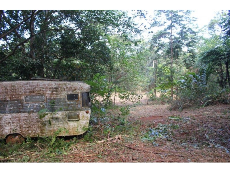 Lot 1 Cape Tribulation Road DIWAN, Daintree QLD 4873
