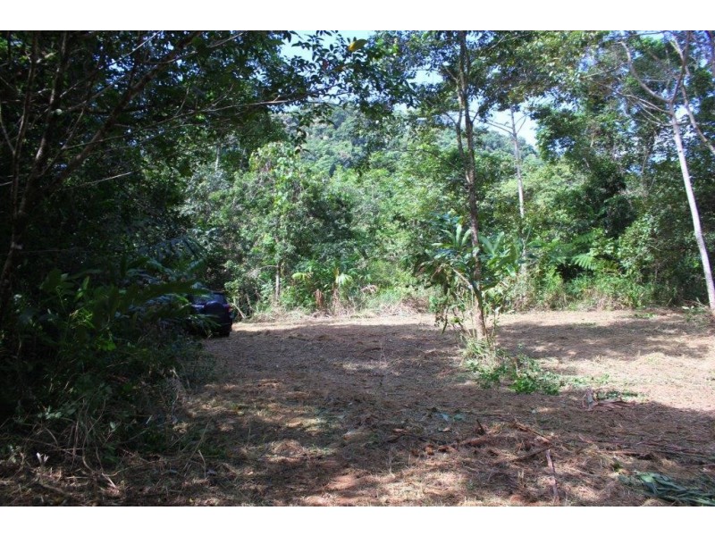 Lot 1 Cape Tribulation Road DIWAN, Daintree QLD 4873