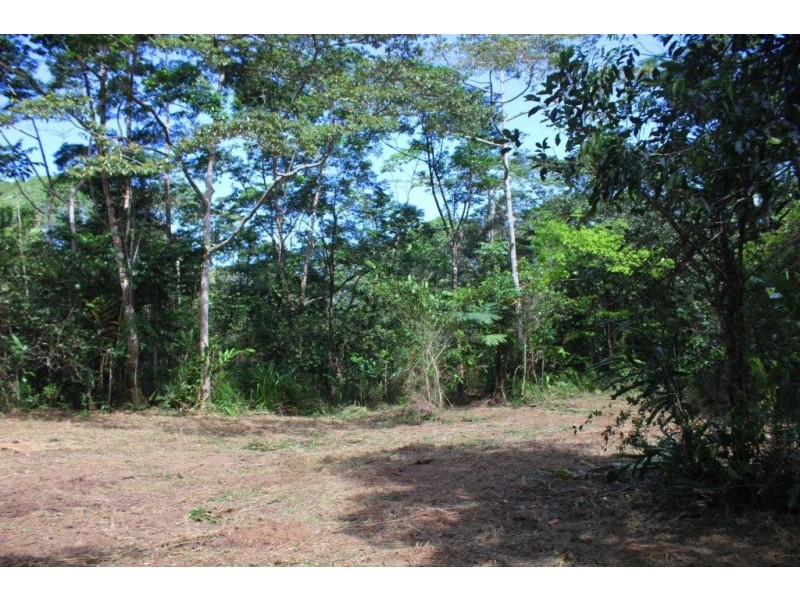 Lot 1 Cape Tribulation Road DIWAN, Daintree QLD 4873