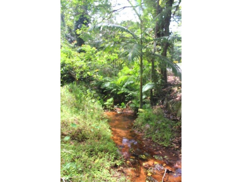 Lot 1 Cape Tribulation Road DIWAN, Daintree QLD 4873