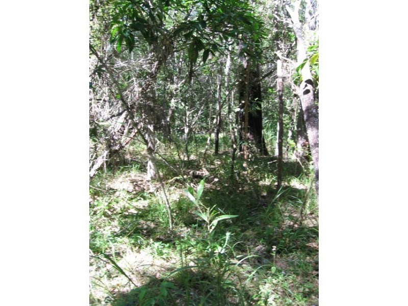 47 Stevens  Road, Julatten QLD 4871