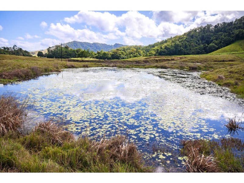 Lot 2 Stewart Creek Road (Stewart Creek Valley), Lower Daintree QLD 4873