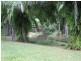 1644 Mossman Mt Molloy Rd, Julatten QLD 4871