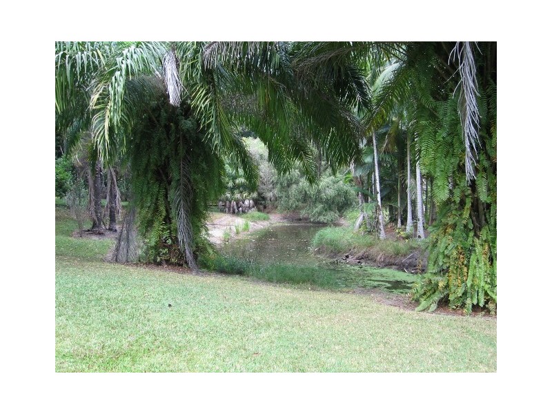 1644 Mossman Mt Molloy Rd, Julatten QLD 4871