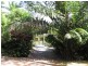 1644 Mossman Mt Molloy Rd, Julatten QLD 4871