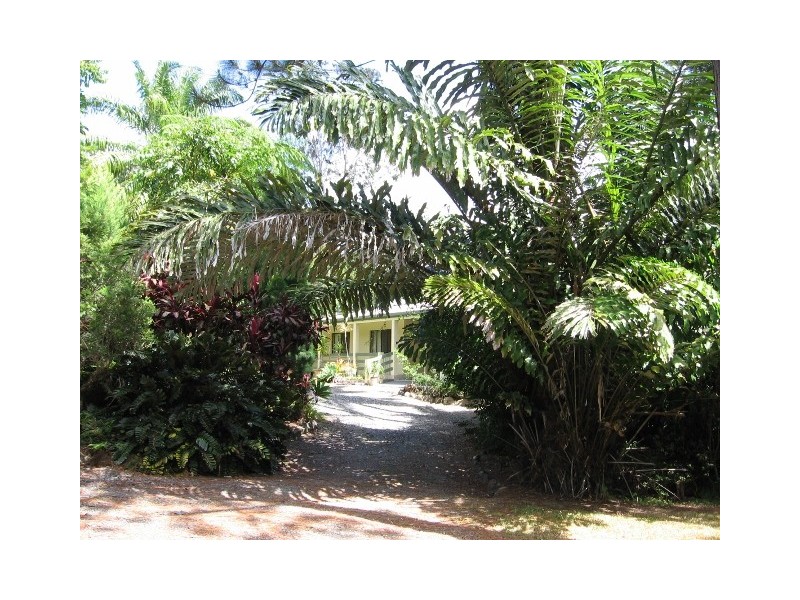 1644 Mossman Mt Molloy Rd, Julatten QLD 4871