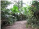 1644 Mossman Mt Molloy Rd, Julatten QLD 4871