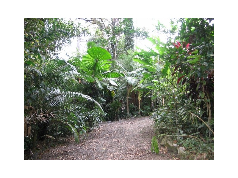 1644 Mossman Mt Molloy Rd, Julatten QLD 4871