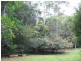 1644 Mossman Mt Molloy Rd, Julatten QLD 4871