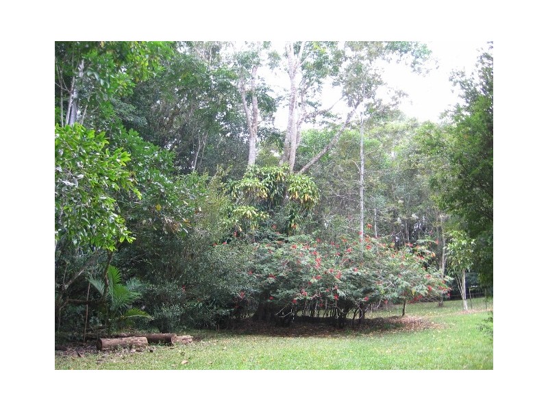 1644 Mossman Mt Molloy Rd, Julatten QLD 4871