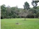 1644 Mossman Mt Molloy Rd, Julatten QLD 4871