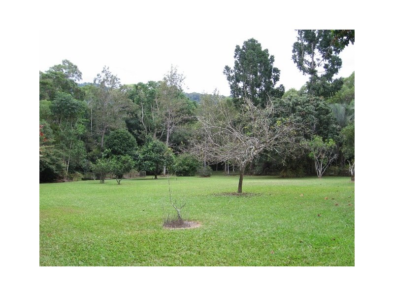 1644 Mossman Mt Molloy Rd, Julatten QLD 4871
