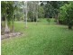 1644 Mossman Mt Molloy Rd, Julatten QLD 4871