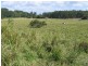 Lot 2 and 3 Mossman Mt Molloy Rd, Julatten QLD 4871