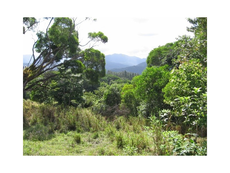 Lot 2 and 3 Mossman Mt Molloy Rd, Julatten QLD 4871
