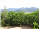 Lot 2 and 3 Mossman Mt Molloy Rd, Julatten QLD 4871