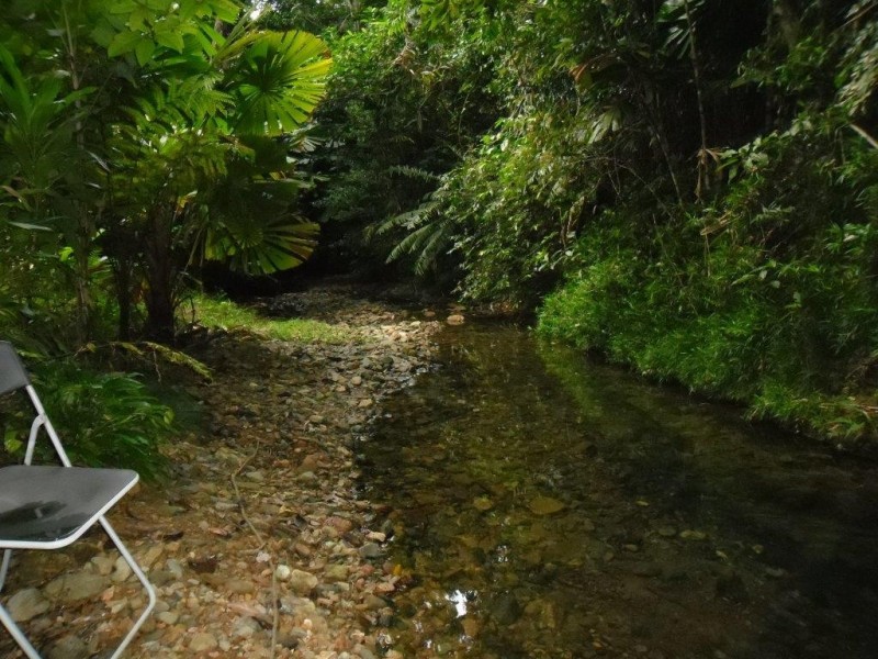 513 Silver Ash Road COW BAY, Daintree QLD 4873