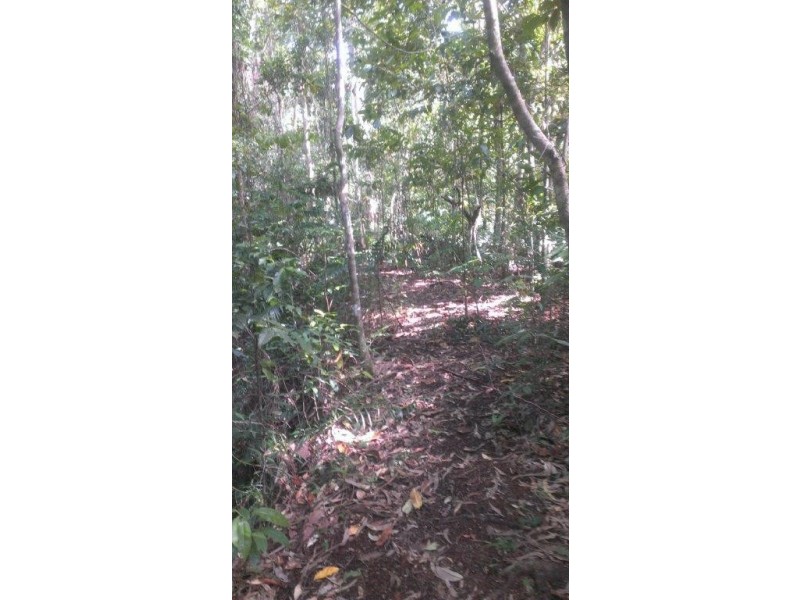 513 Silver Ash Road COW BAY, Daintree QLD 4873