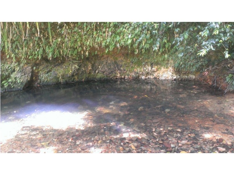 513 Silver Ash Road COW BAY, Daintree QLD 4873