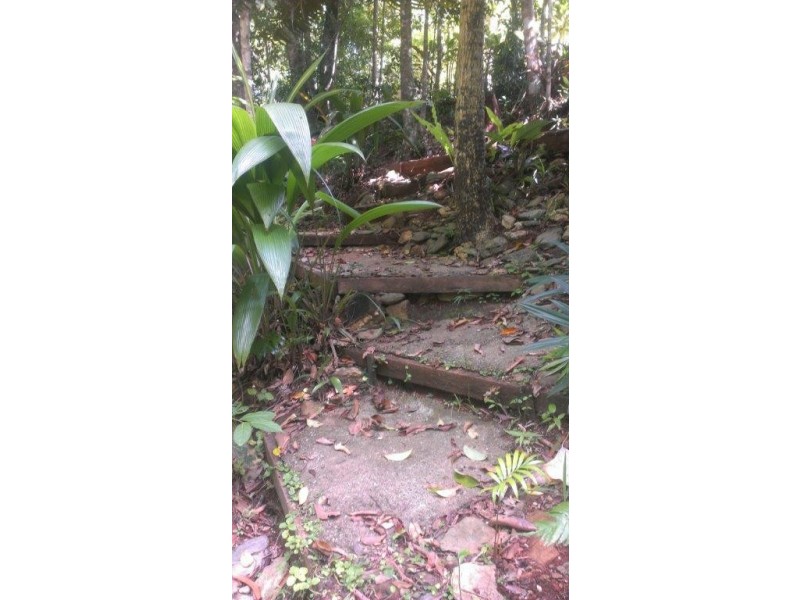 513 Silver Ash Road COW BAY, Daintree QLD 4873