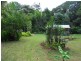 513 Silver Ash Road COW BAY, Daintree QLD 4873