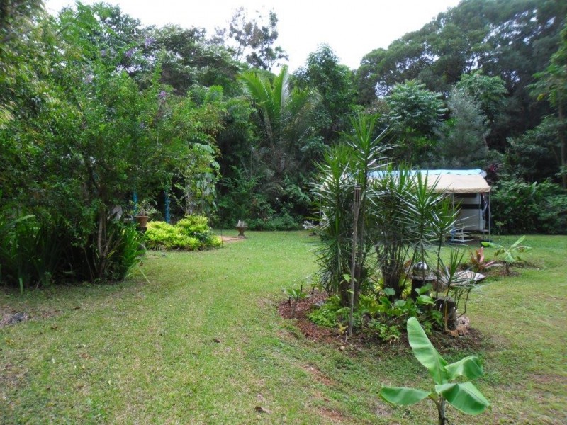 513 Silver Ash Road COW BAY, Daintree QLD 4873