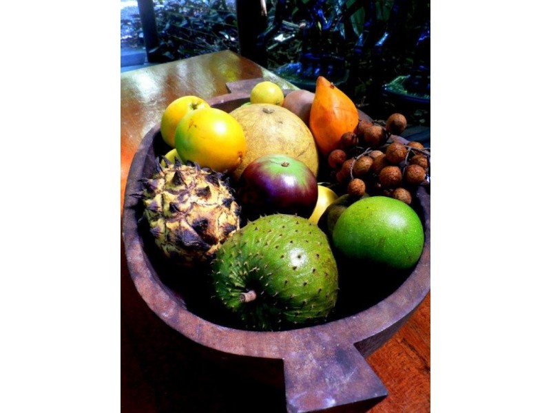 Lot 4 Lot 5 Nicole Drive CAPE TRIBULATION, Daintree QLD 4873