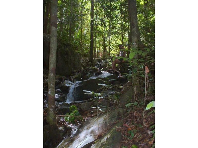 Lot 4 Lot 5 Nicole Drive CAPE TRIBULATION, Daintree QLD 4873