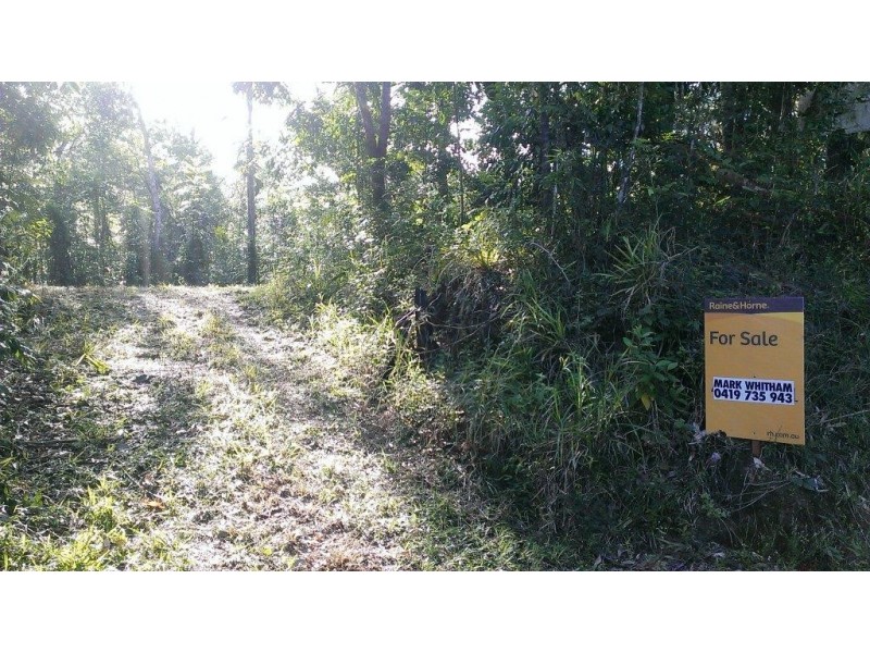 Lot 2 Cape Tribulation Road DIWAN, Daintree QLD 4873