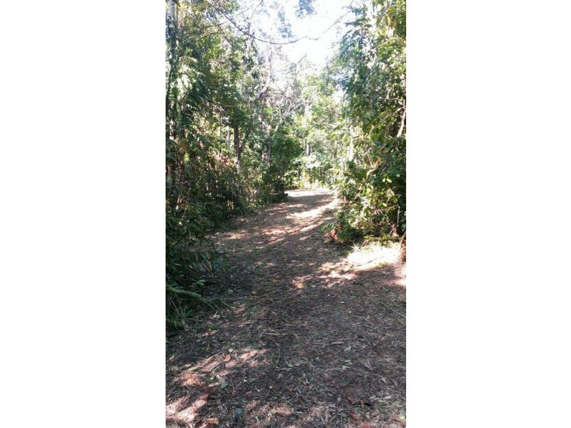 Lot 2 Cape Tribulation Road DIWAN, Daintree QLD 4873