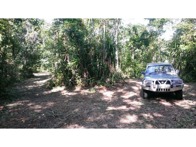 Lot 2 Cape Tribulation Road DIWAN, Daintree QLD 4873