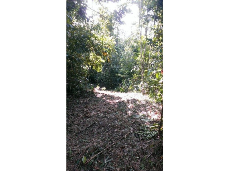 Lot 2 Cape Tribulation Road DIWAN, Daintree QLD 4873