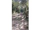 Lot 2 Cape Tribulation Road DIWAN, Daintree QLD 4873