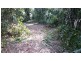 Lot 2 Cape Tribulation Road DIWAN, Daintree QLD 4873