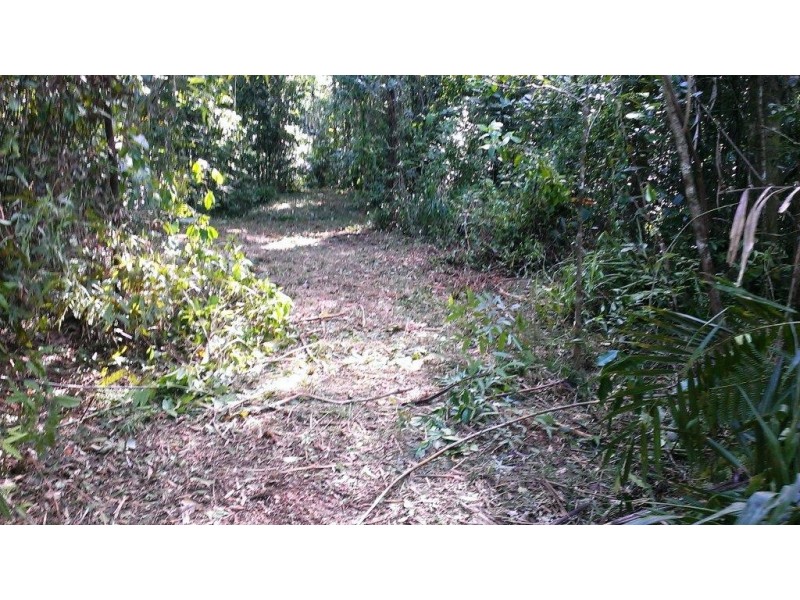 Lot 2 Cape Tribulation Road DIWAN, Daintree QLD 4873
