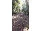 Lot 2 Cape Tribulation Road DIWAN, Daintree QLD 4873