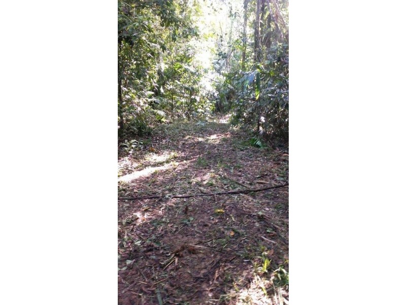 Lot 2 Cape Tribulation Road DIWAN, Daintree QLD 4873