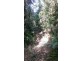 Lot 2 Cape Tribulation Road DIWAN, Daintree QLD 4873
