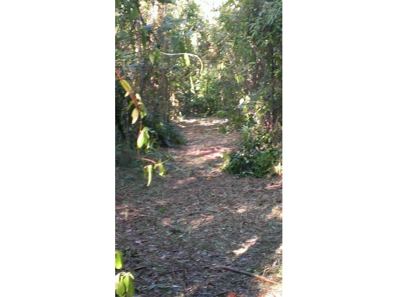 Lot 2 Cape Tribulation Road DIWAN, Daintree QLD 4873