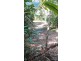 Lot 2 Cape Tribulation Road DIWAN, Daintree QLD 4873
