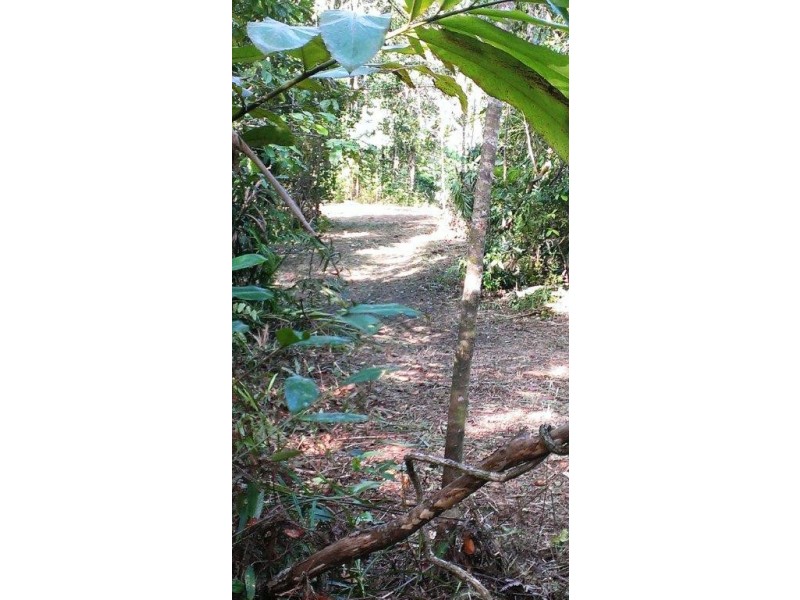 Lot 2 Cape Tribulation Road DIWAN, Daintree QLD 4873