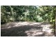 Lot 2 Cape Tribulation Road DIWAN, Daintree QLD 4873